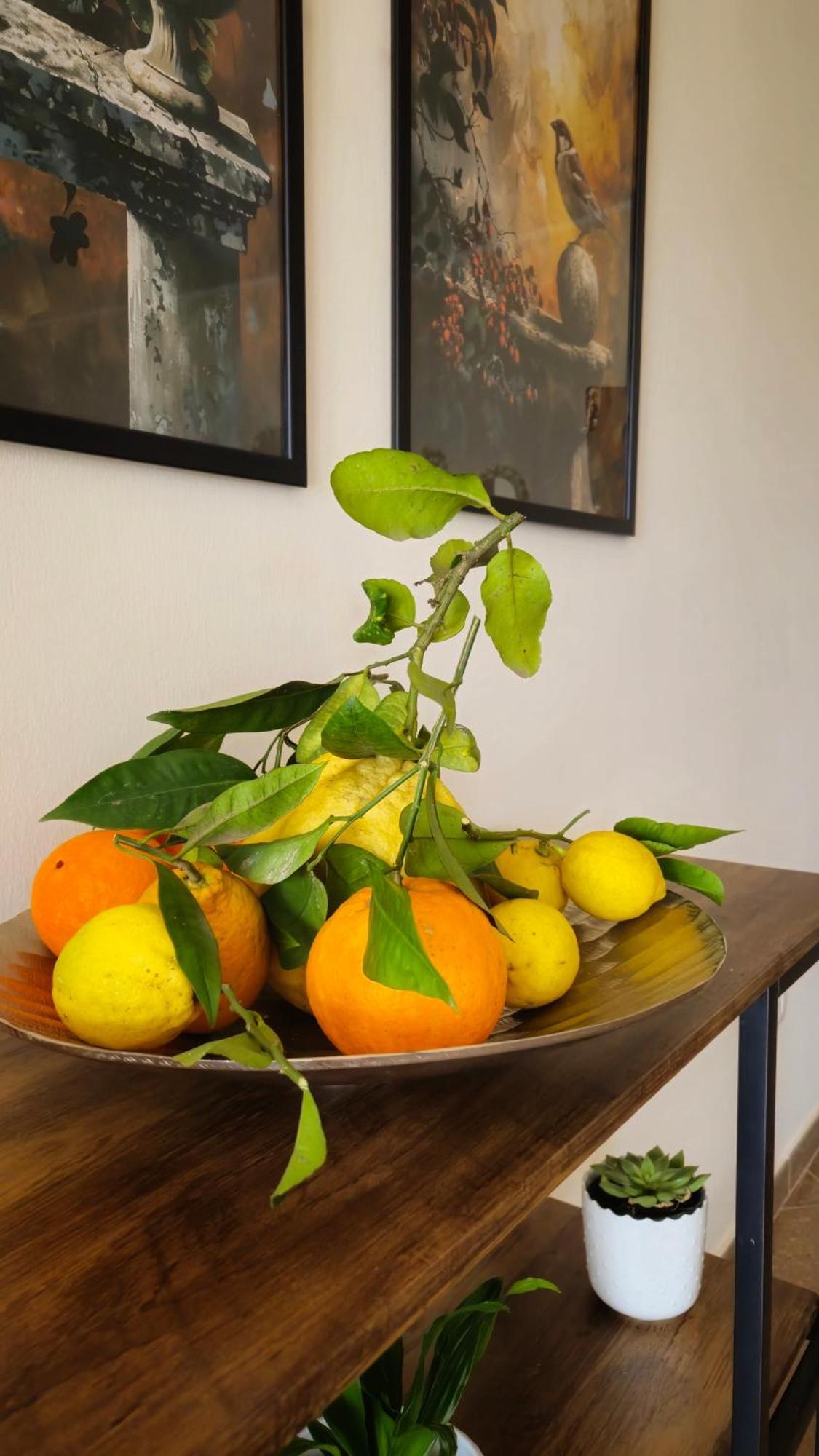 Casa Il Frutteto * Pompéi
