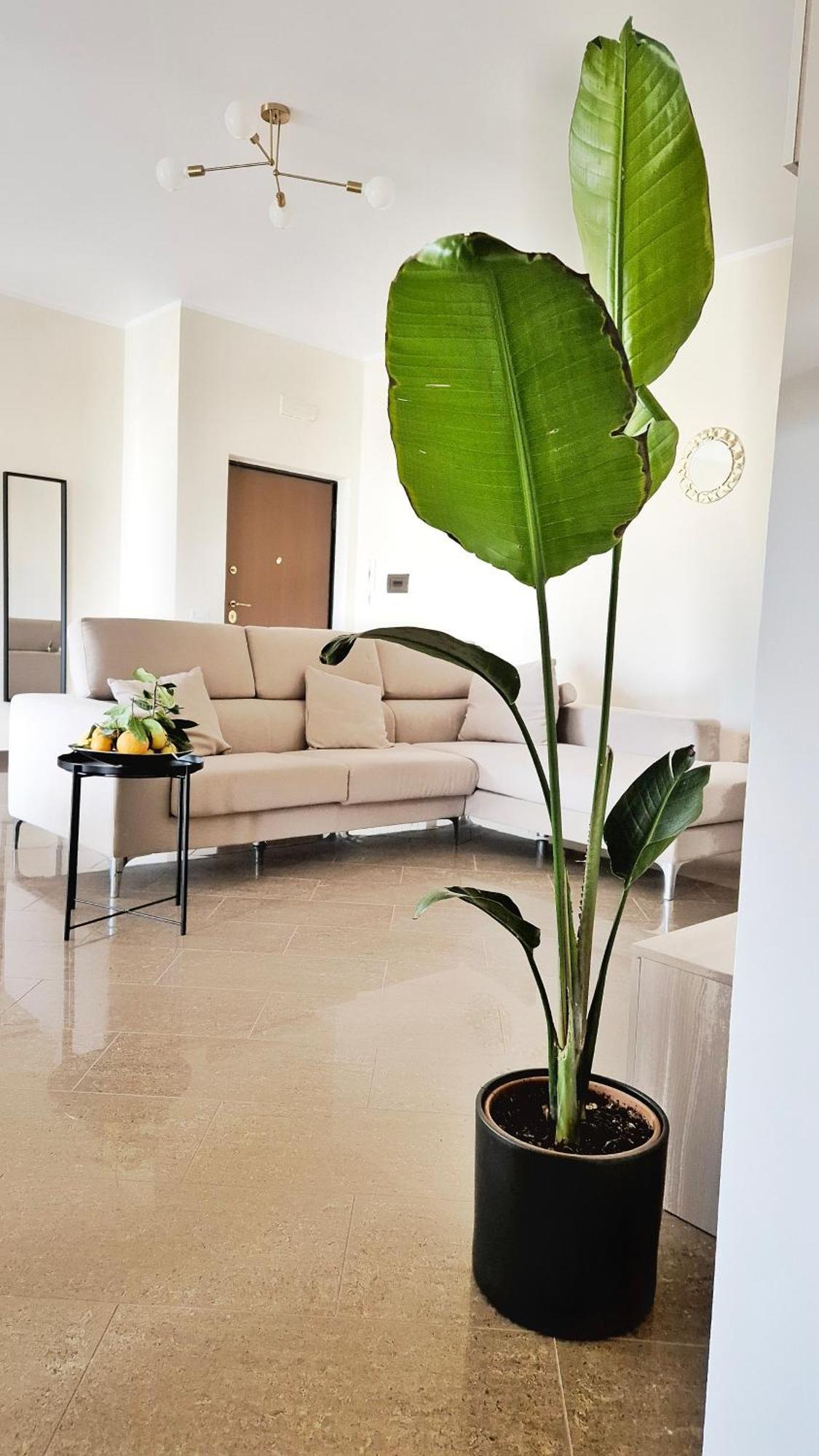 Casa Il Frutteto Apartment